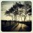 abeer_aim's profile image