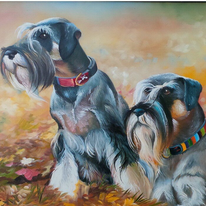 Especialistas  en Schnauzer Miniaturas !!!