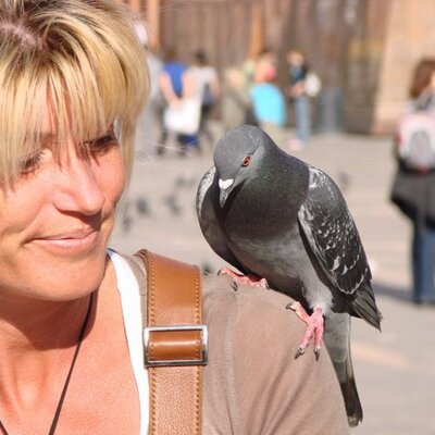 LBeliakoff's profile image