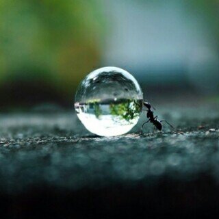 AgathaMeza's profile picture. 