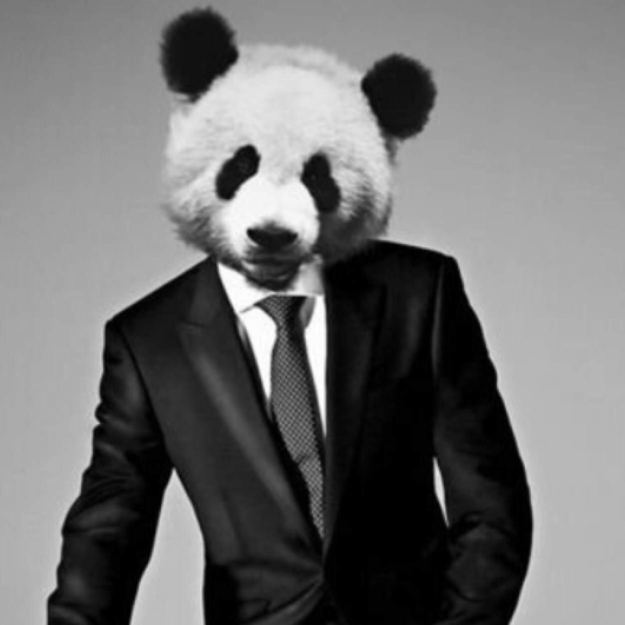 Mr & Mrs Panda Mr & Mrs Panda