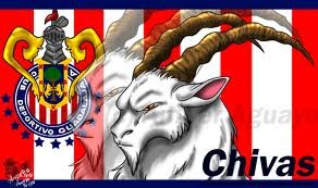 seguidor de chivas 100%