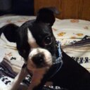 Alanna Sharp - @Vampirecrazed12 - Twitter