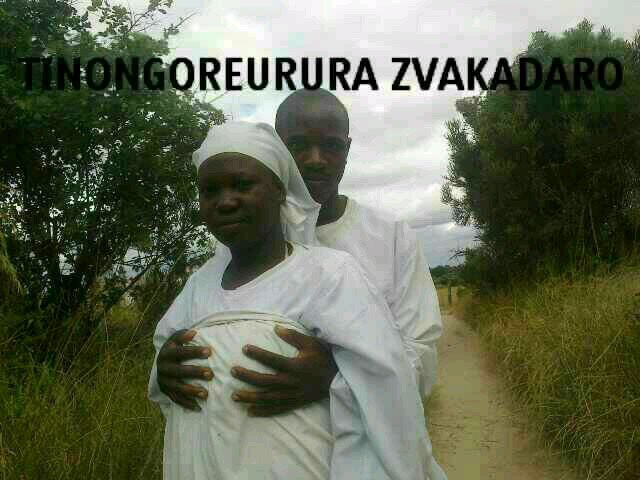 ZimstatsE's profile picture. the truth behind the big curtain