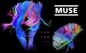 KathyMuser24's profile picture. Im Kathy ~16 years old~ from chicago USA lml
 I really love The WarriorCats (Erin hunters books) and MUSE of course :)