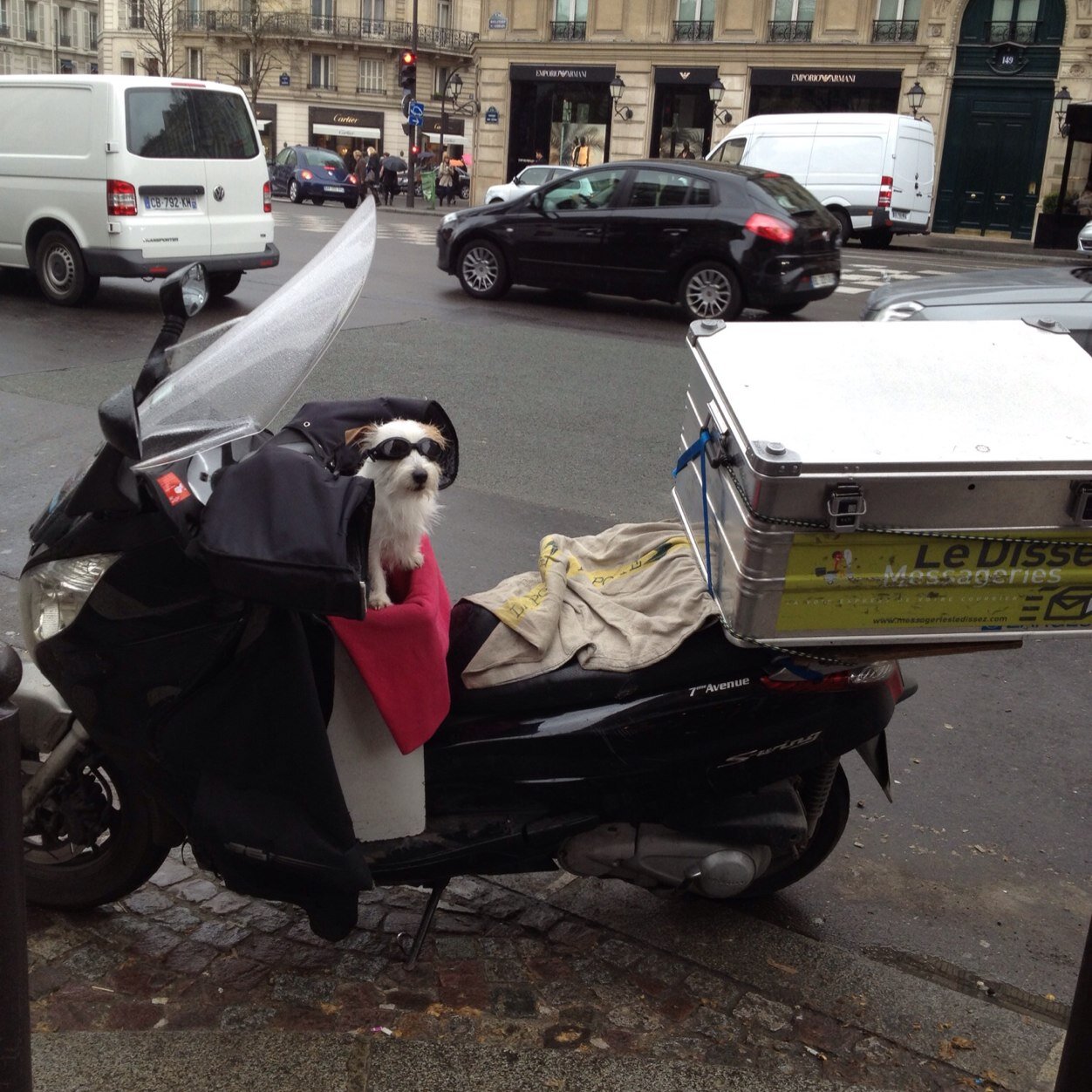 Kjalsip's profile picture. 