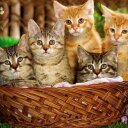 Sidra bibi - @092Sidra - Twitter