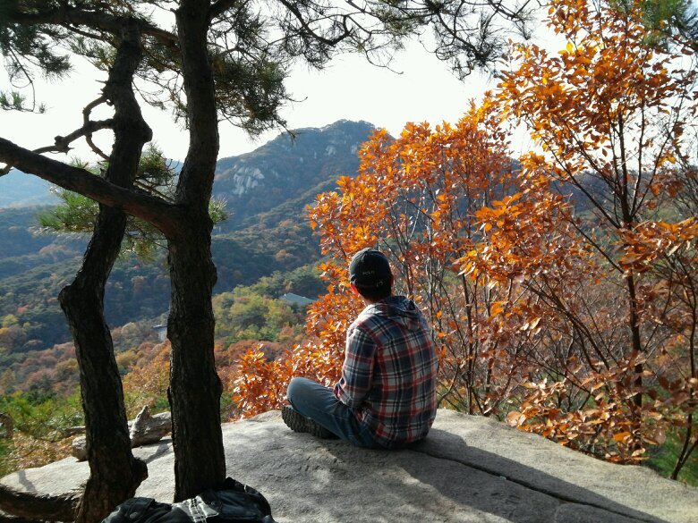 smartsms2's profile picture. 