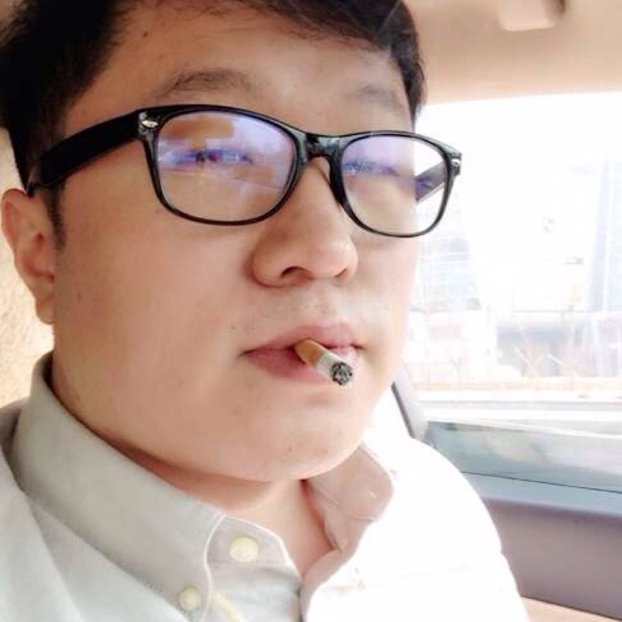 来自南极墙后面