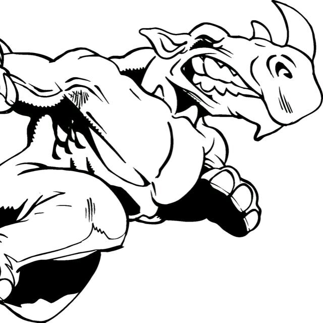 rhinos