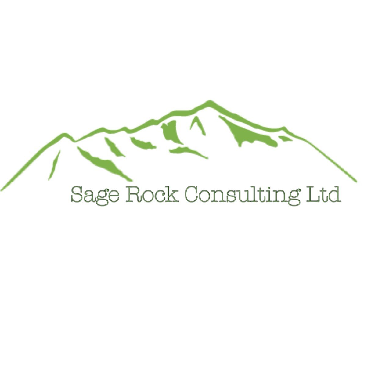 SageRockUK's profile picture. Public-spirited experts in Comms, Risk / Resilience & Campaign planning. Commercial, Govt/Defence & charity sectors : sagerock@live.co.uk