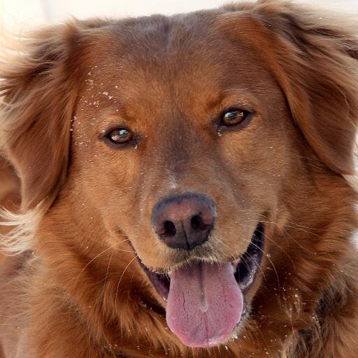 gloekkem's profile picture. 