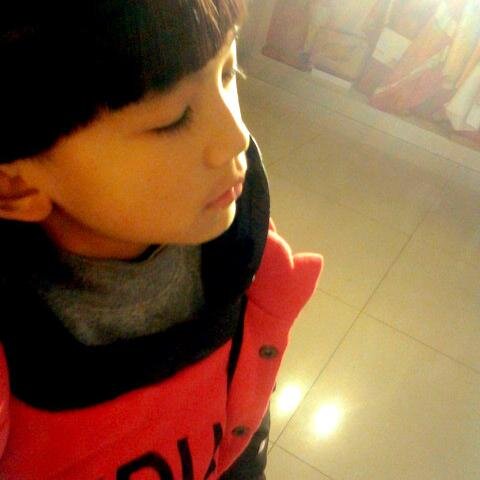 zozodachi's profile picture. 