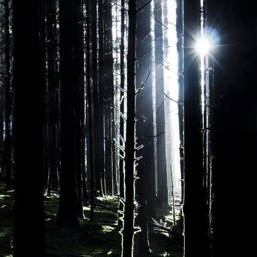 hilmibasdag's profile picture. Hiç..