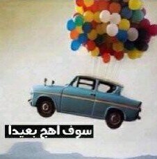 الجسد لا يحيا بدون القلب 
- المفضلة تحكي عن القليل مني !
- http://t.co/s8ggUUpw5P
- جده , 1996 مُ