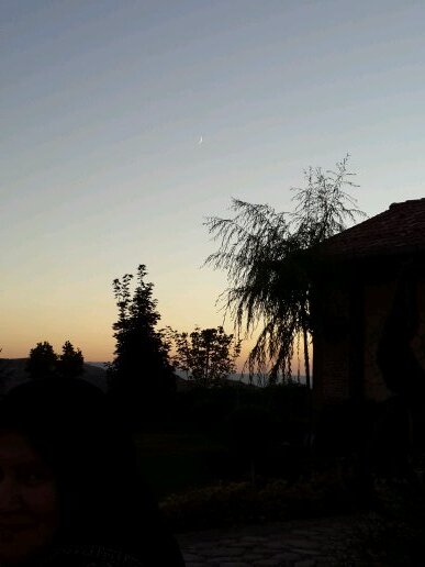 sukranbzd's profile picture. 