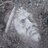 UoSFLPortus's profile image