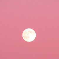 Hayali Dunya (@dunya_hayali) 's Twitter Profile