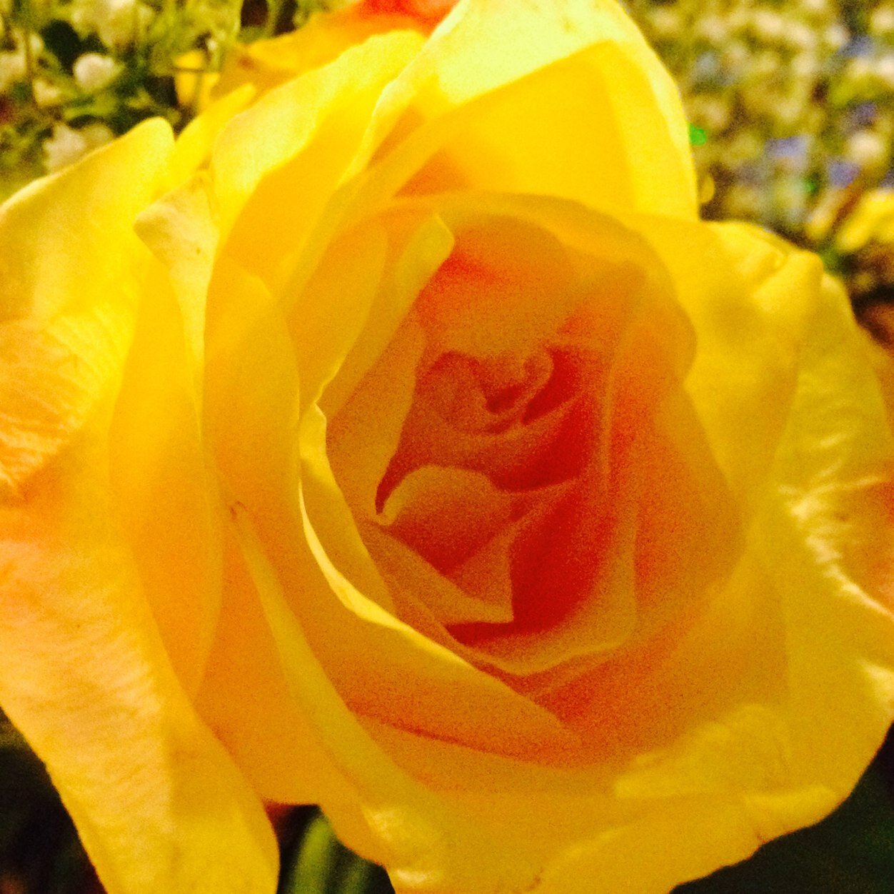 lotsoftime736's profile picture. 