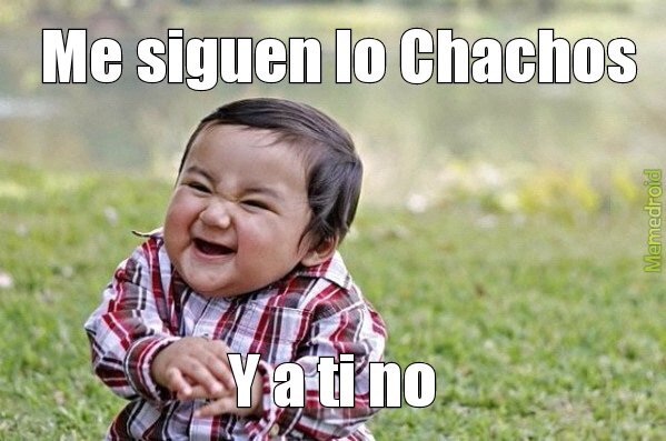 chacho city forever