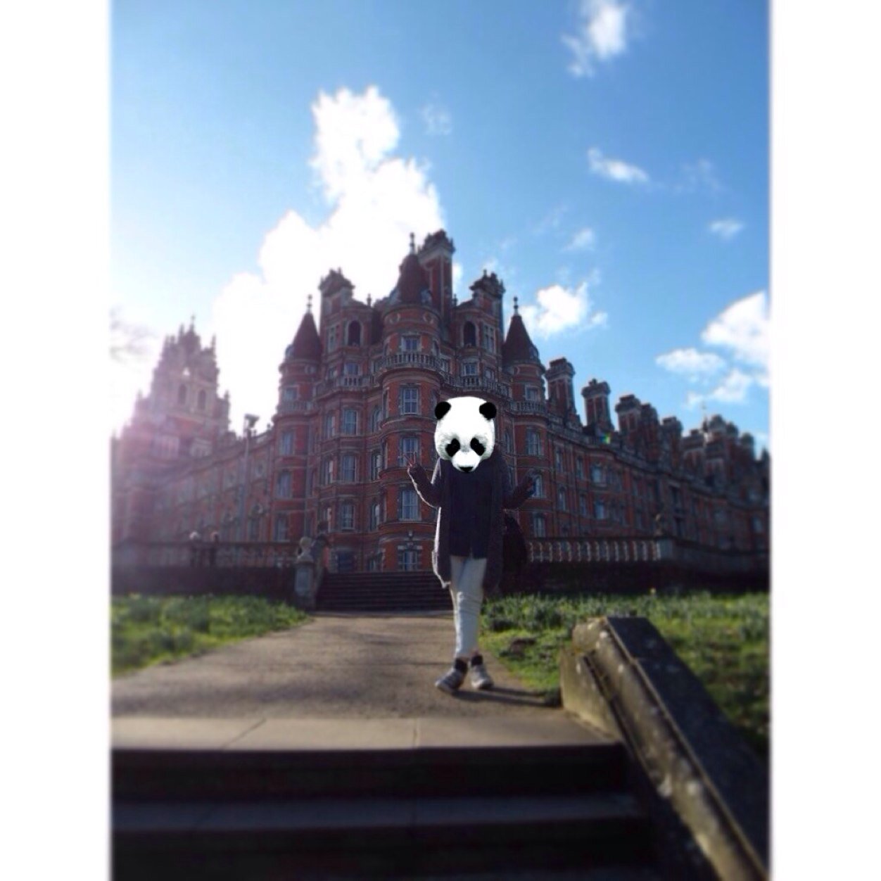 OliyChiang's profile picture. 