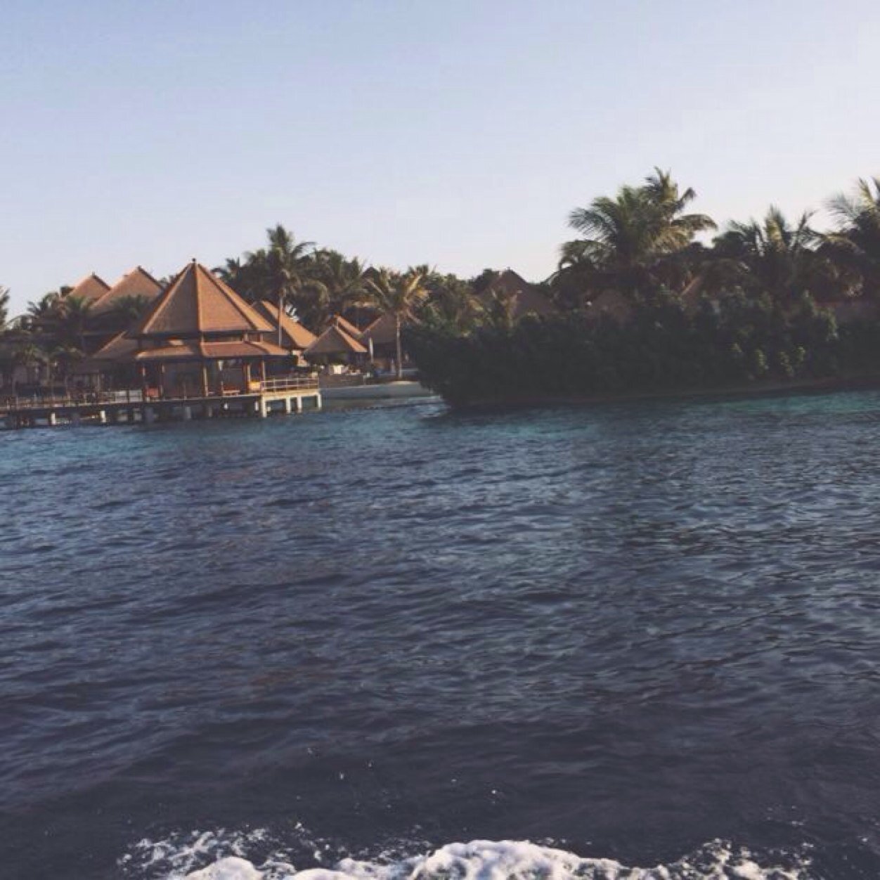 AlAlshamrani's profile picture. 