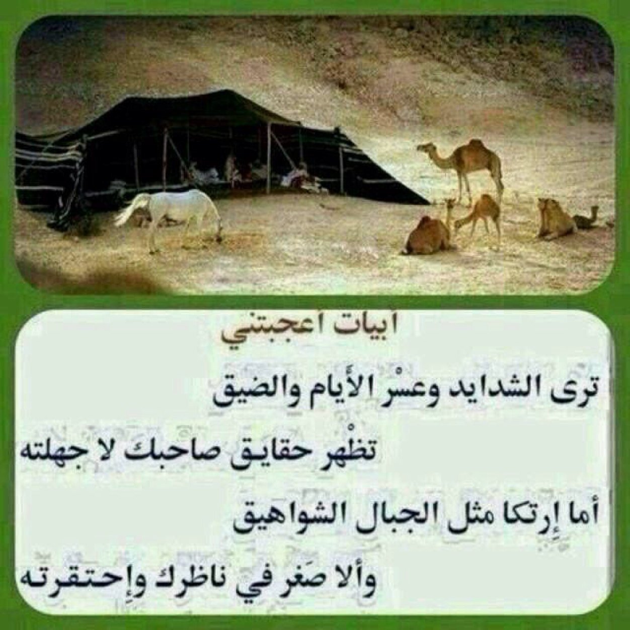 ‏إن وجدتم ما يؤجرني فانشروه وإن وجدتم ما يؤثمني فتركوه لست سـوى روح ستقبض في أي لحظة أسألك يا ربي حسن الخاتمـه ...؟ تابعني اتابعك