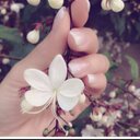 رحيق خواطرنا ... (@11fdf8416d5c465) Twitter