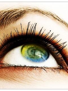 Kiseleva_N's profile picture. Люди казались ему такими, каковы они на самом деле, т.е. насекомыми, поедающими друг друга на маленьком комке грязи.