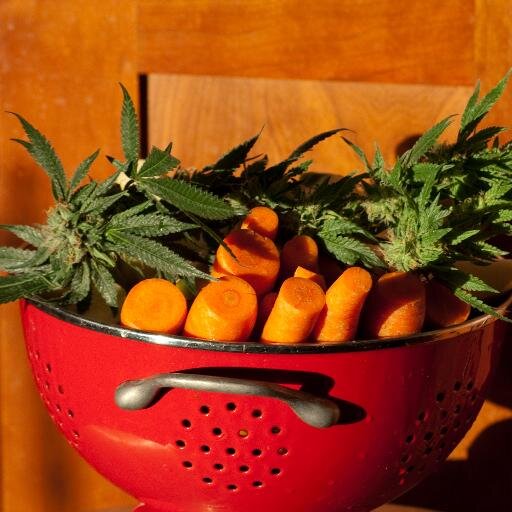 stirindapot's profile picture. 