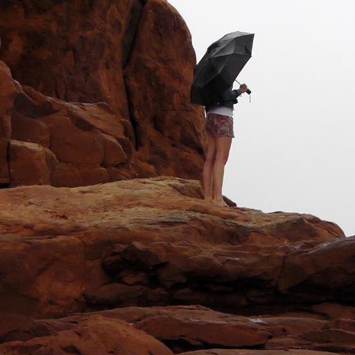 batish_vibha's profile picture. A die hard nature lover now seeking beauty in words                        #Blogger fierce #dreamer #bibliophile #traveller