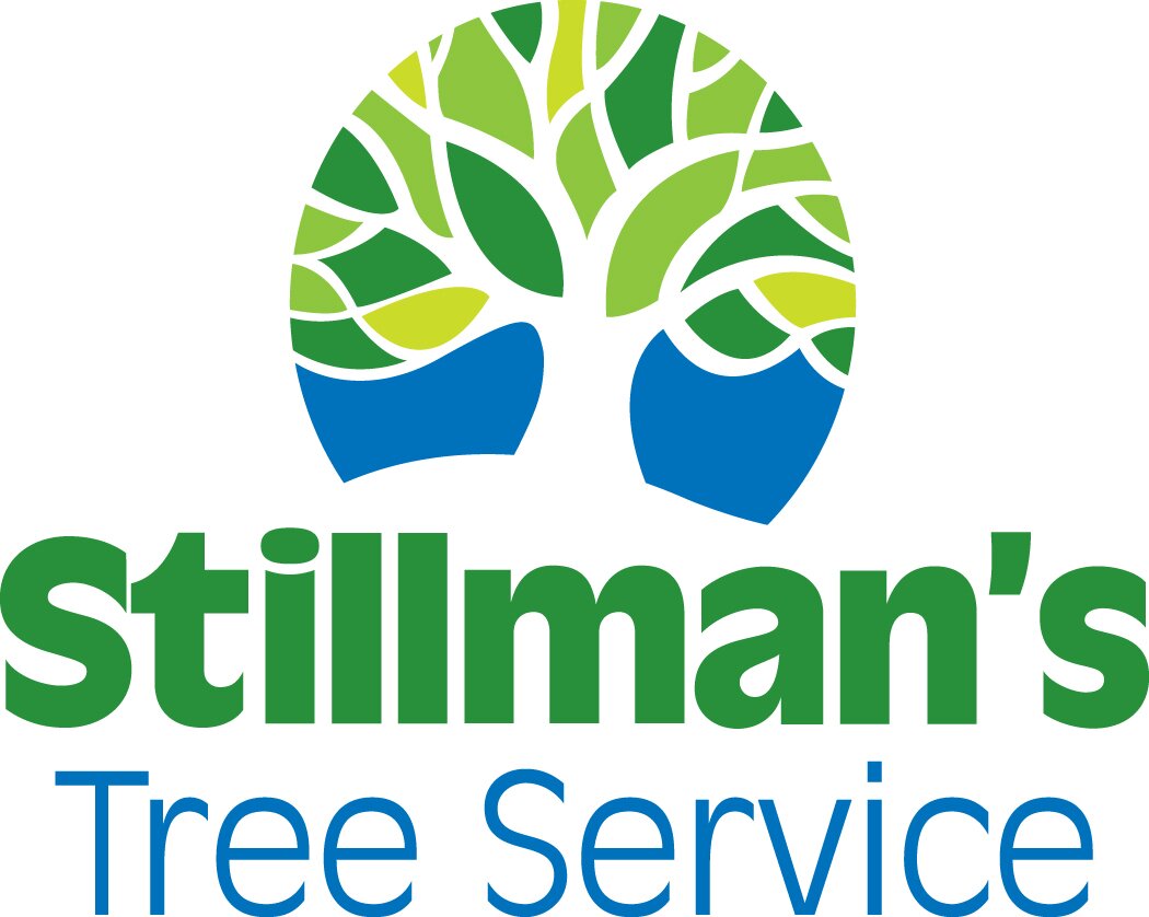 At Stillman's Tree Services we have grown our business by arriving with a good attitude and a smile, and doing competent work.