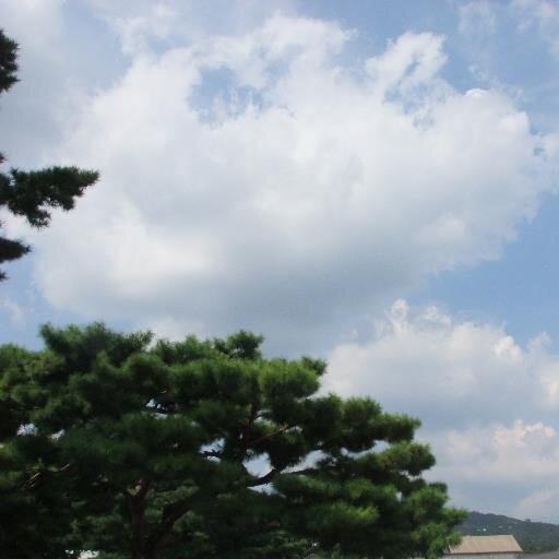 직접 찍거나 퍼온사진을 올립니다. 출처를아시면 멘션이나 디엠주세요. 자신의 사진이 있을시 디엠으로 요청하시면 내려드립니다. :). 다른 종류의 사진도 올립니다. 좋은하루되세요.