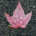 Sonya hudson - @Tshudson13 - Twitter