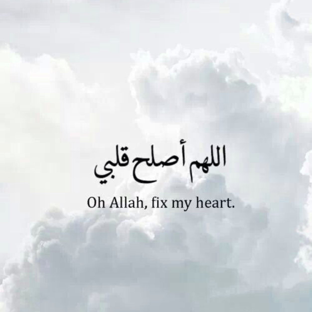 سبحان الله .. الحمد لله .. لا اله الا الله .. الله اكبر