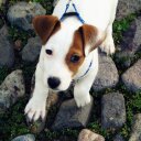 Violeta Dimova  - @VilDimova - Twitter