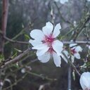 Louise Root - @RootLouise - Twitter