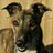 Beetle_71's profile image