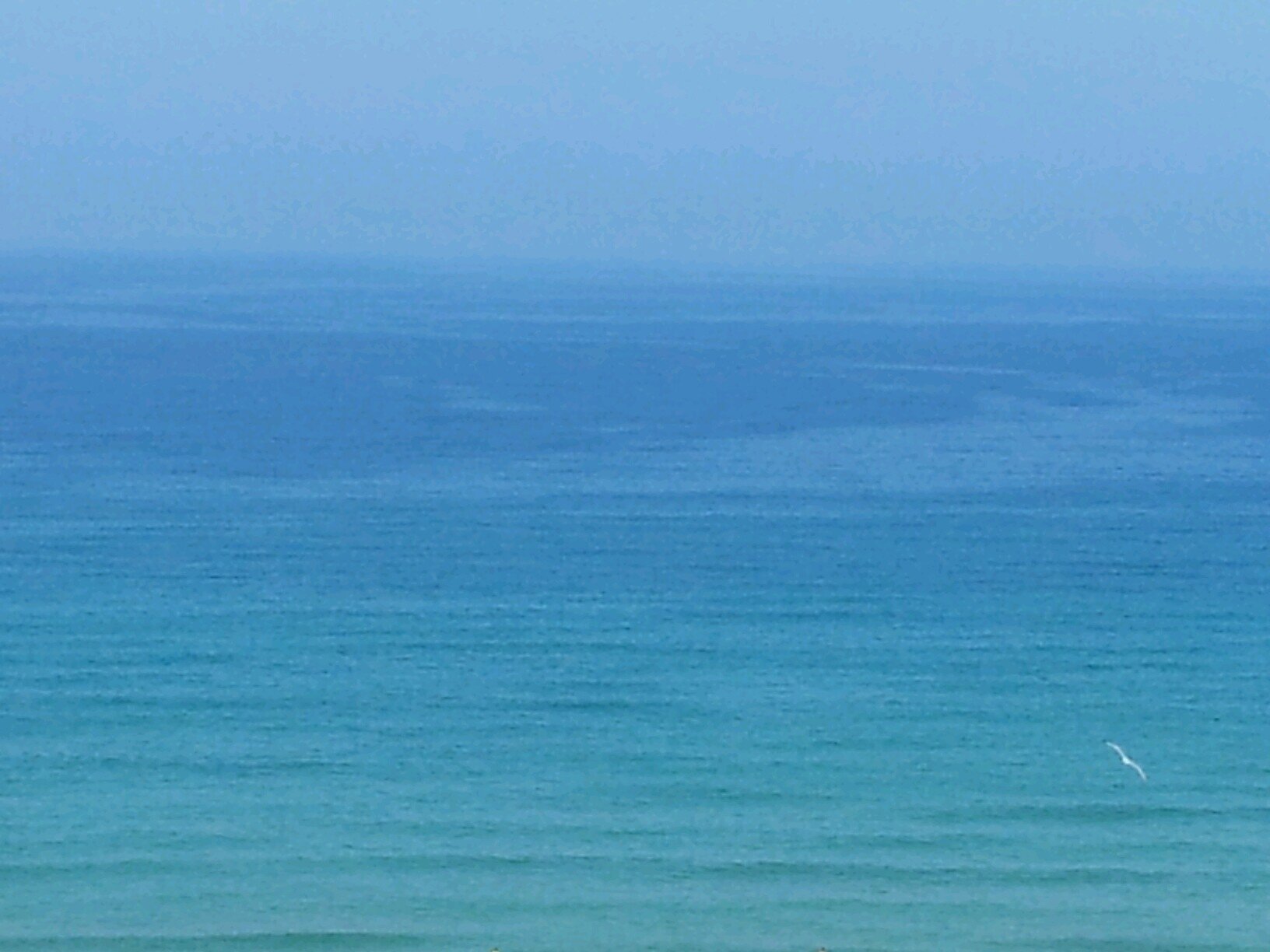 millarge01's profile picture. 