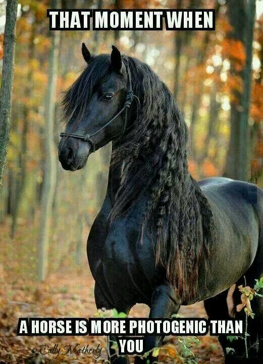 Dinequa11's profile picture. living life one day at a time!