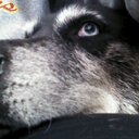 Sabrina Combs - @sabrinaisgroovy - Twitter