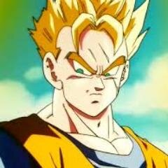 I am first son of Goku and a half-Human, half-Saiyan, I son Gohan hold the potential for enormous power. Growing up a scholar, not a warrior like my father