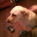 Eli Squires - @EliSquires67 - Twitter