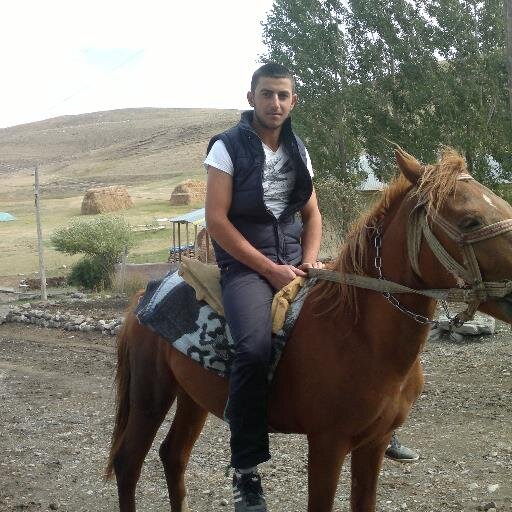 hayvan sever gezmeyi sever
