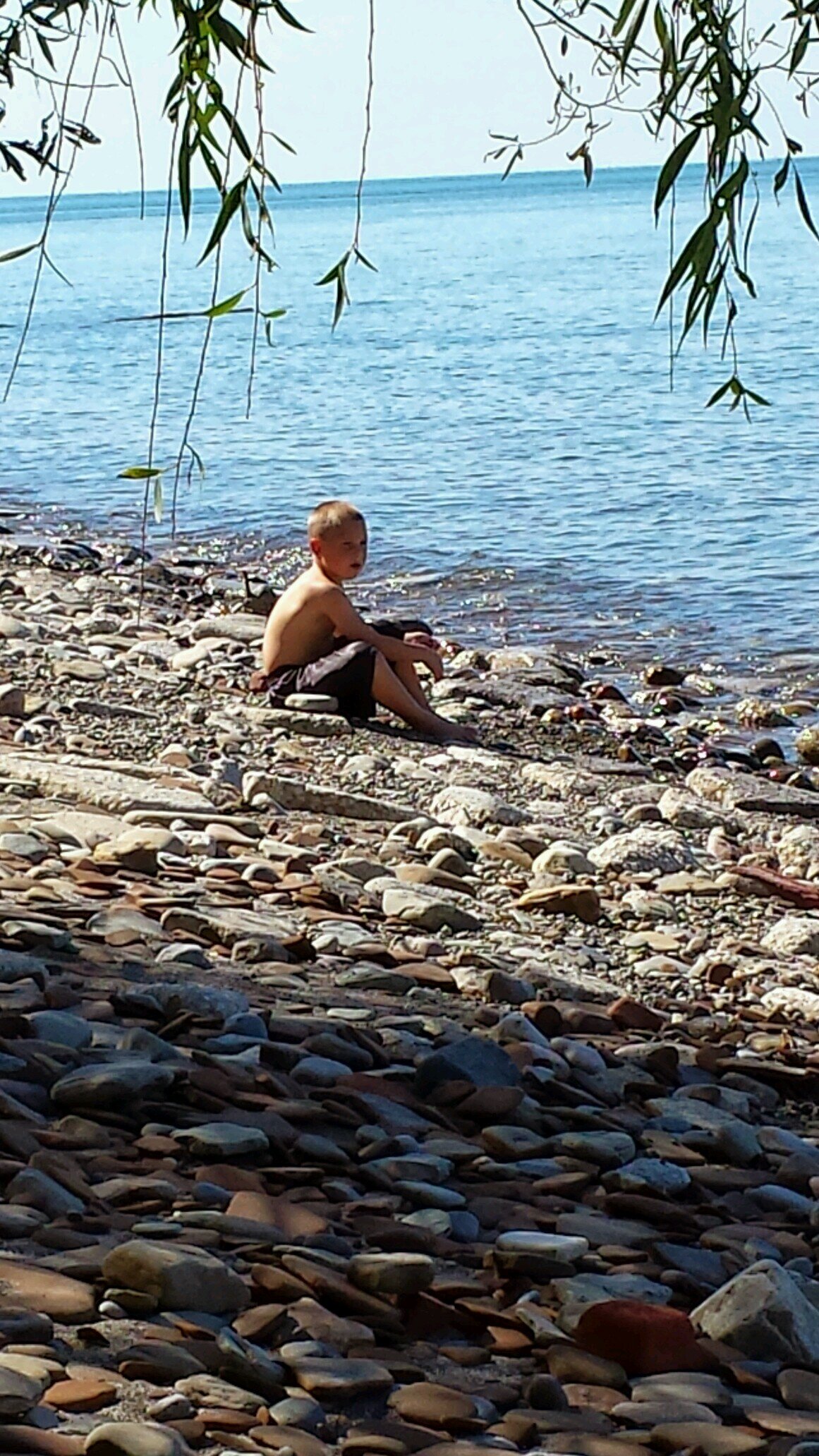 tp0017's profile picture. 