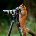 Mr. Fox (@mattewfox95) Twitter profile photo Mr. Fox (@mattewfox95) Twitter profile photo