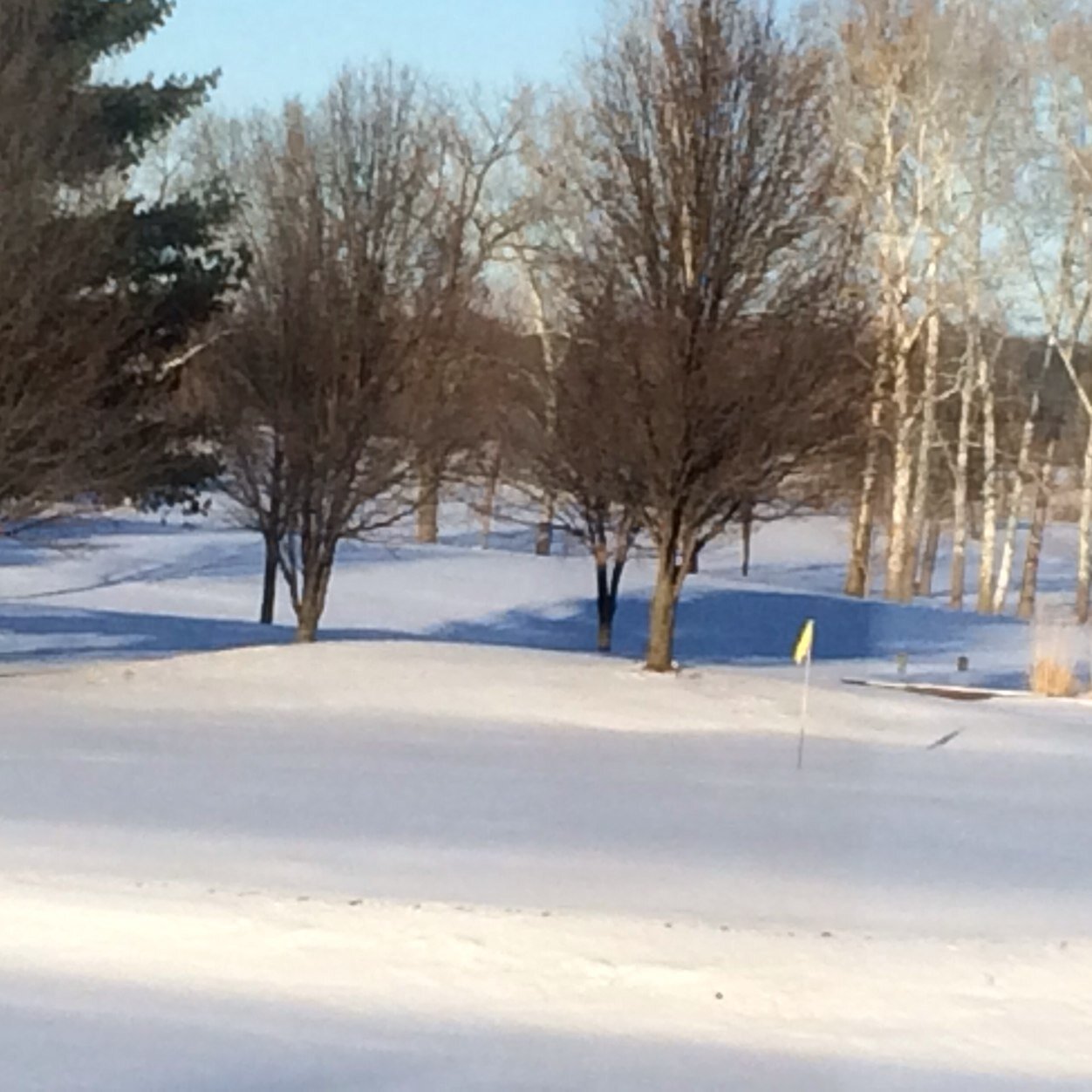 SycamoreGolf's profile picture. 