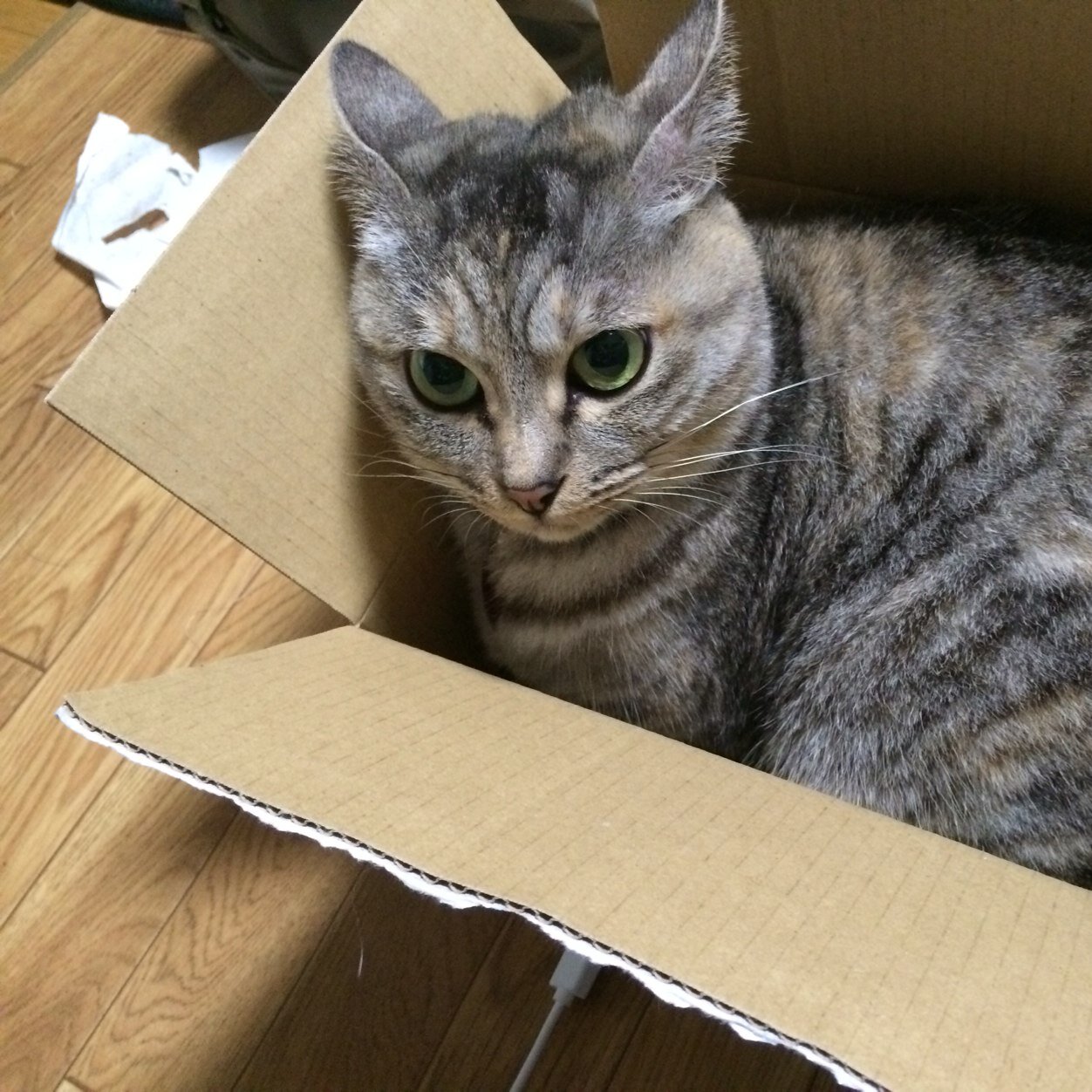 VAN193's profile picture. 機械設計屋さんです