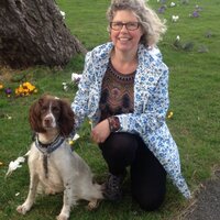 Lesley Emerson (@prwest1) 's Twitter Profile