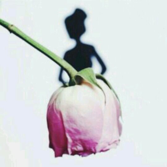 ﮼يمه،ذبل،هالعمر،من،بعدك،فقدتك،والبقاء،لله♥️